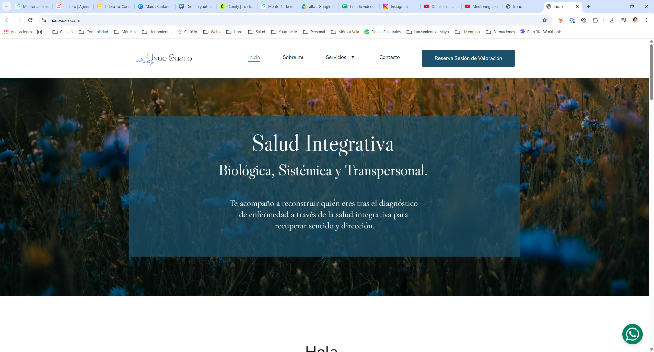 Página de salud integrativa de Uxue Suaro, creada por ella misma